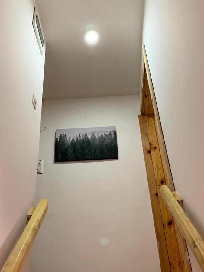 Mountain Vista Chalet Žabljak Esterno foto